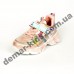 Детские кроссовки Alemy Kids бело-розовые