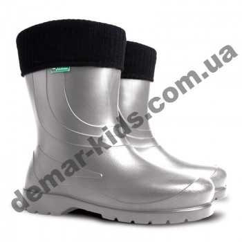 Детские/подростковые резиновые сапоги Demar LAURA C1 серебряный (36-42)