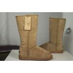 Подростковые / женские угги UGG Classic Tall ( бежевые )